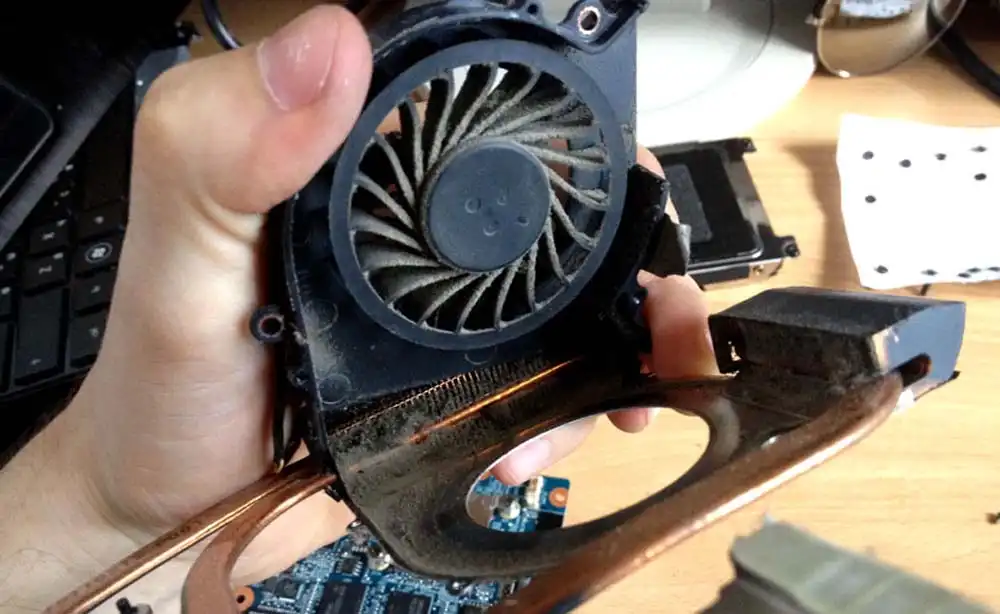 Чистка ноутбука HP от пыли в Брянске. Замена термопасты