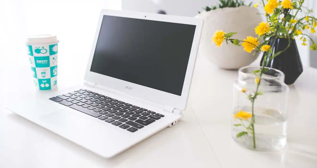 Ремонт ноутбуков Acer в Брянске