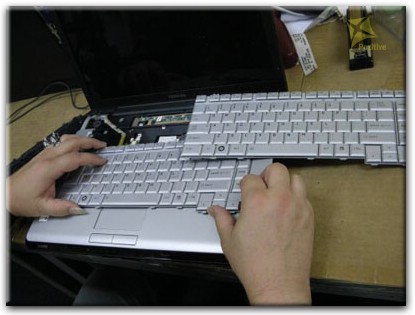 Ремонт клавиатуры на ноутбуке Toshiba в Брянске