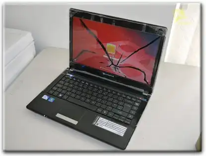 Замена матрицы Packard Bell в Брянске